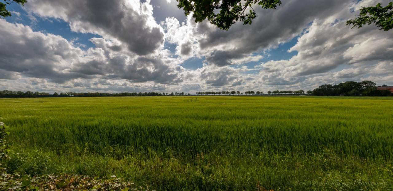 Appartementen Buitenwedde Westerwolde Eksteriør bilde